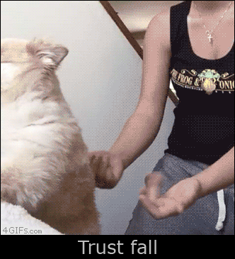 fbda08fd335890ed247c10c8b9b3c975_1457339419_3098.gif