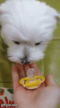 80f7e73d828626155c15652d2e68b2e1_1463844721_155.gif