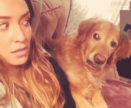 00b85913bd452f705b72ed3eb20aeb18_1465510479_5353.gif