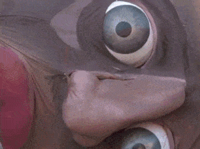 14bfd2232ee5b6103b168c1c04ebbacf_1465503830_1206.GIF