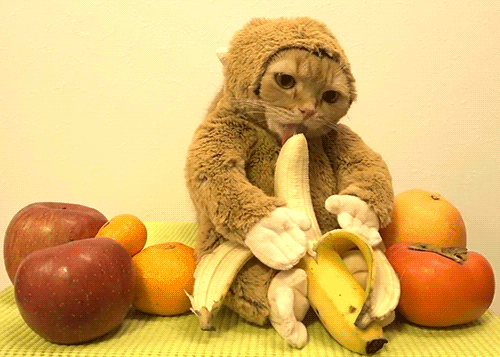 1d25d581fdf57cb013f3ebf5eec7803e_1465555557_7176.gif