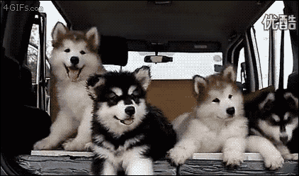 1eddbbe57dc3b99c02b6b178448de265_1465620379_121.gif