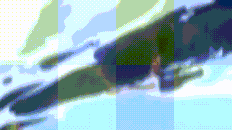 3051ae7dca9aba9292256c1033aa6359_1465304013_3354.gif
