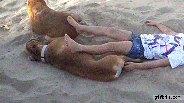 348d2294038f3a2dfb4fafce150a2120_1465611860_1523.gif