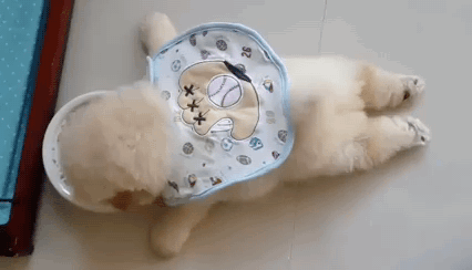 4704ec01507907d0b326ff1403128e3b_1465555578_0505.gif