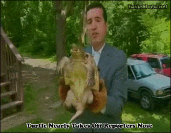 5d25748fca9383825d641970528abcec_1465351567_6351.gif 5d25748fca9383825d641970528abcec_1465351567_6351.gif