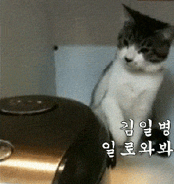 61922814dc715bbc2ef49a266cf2eea8_1465605899_8673.gif