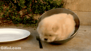 7965f852d80eea1f7ebe486ec5a8675a_1465555573_2834.gif
