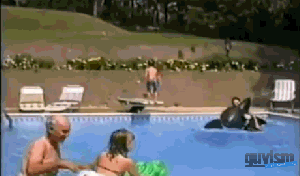b08fd74b0b67671ab7703549f7202b02_1465525365_1795.gif