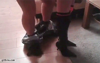 b08fd74b0b67671ab7703549f7202b02_1465525981_7388.gif