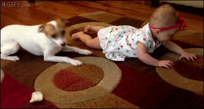 b08fd74b0b67671ab7703549f7202b02_1465527483_4532.gif