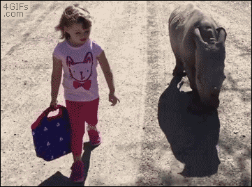 b56dee9ac0cae711e729eaa0f3228d52_1465545006_9669.gif