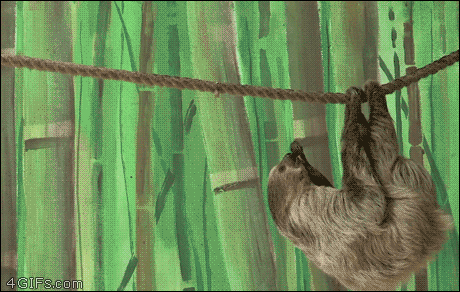 b56dee9ac0cae711e729eaa0f3228d52_1465549480_8637.gif