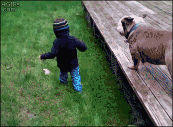 b56dee9ac0cae711e729eaa0f3228d52_1465549588_1361.gif