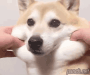 ca6082346fffff9bbe46b6ebe9c2099a_1465569982_0429.gif