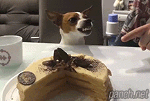 dd299c0ffe663f14de124699746b3a40_1465622142_9205.gif