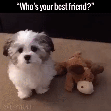 e0dc5752a9bce0c6e9637c885858c047_1465517013_3275.gif
