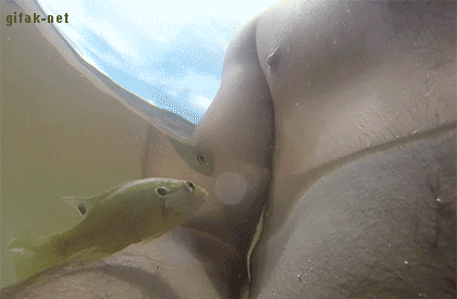 e5068e513b3245aa55c507c423d0658c_1465523401_0836.gif