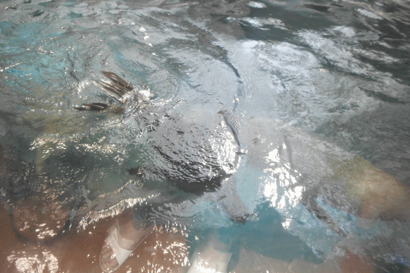 085b3568d02f17b27afb4573a37afe89_1469174576_3744.gif 085b3568d02f17b27afb4573a37afe89_1469174576_3744.gif