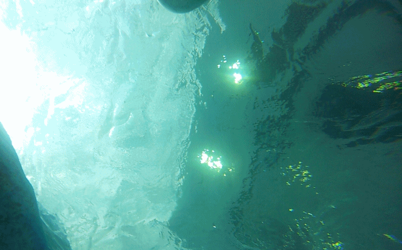 085b3568d02f17b27afb4573a37afe89_1469174632_6148.gif 085b3568d02f17b27afb4573a37afe89_1469174632_6148.gif