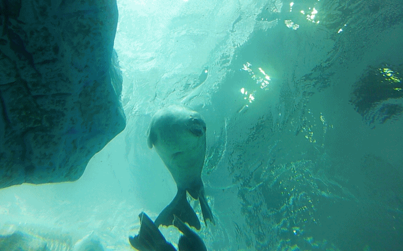 085b3568d02f17b27afb4573a37afe89_1469174635_7954.gif 085b3568d02f17b27afb4573a37afe89_1469174635_7954.gif