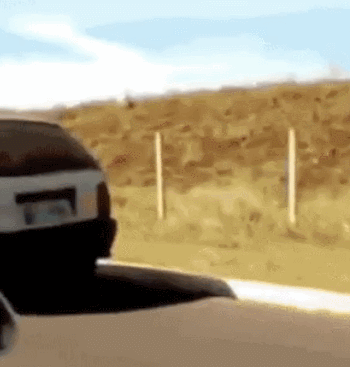 0afee73c3f4fd3c091b47656885a5497_1469694480_6596.gif