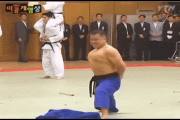 711464af262094084c7c50faebc3b77e_1469857124_1384.gif