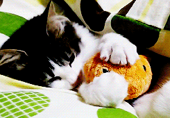 a3874dbebb9694a65ae693bcb8538f7a_1468639731_7258.gif