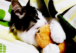 a3874dbebb9694a65ae693bcb8538f7a_1468639732_5033.gif