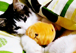 a3874dbebb9694a65ae693bcb8538f7a_1468639732_8779.gif