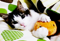 a3874dbebb9694a65ae693bcb8538f7a_1468639733_3187.gif