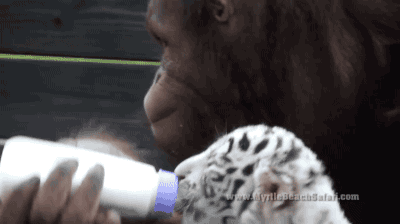a3874dbebb9694a65ae693bcb8538f7a_1468640306_8226.gif