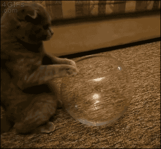 142930c776b5d16707670495b0030924_1472340928_7893.gif