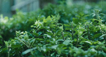 18b338d8691a0c581e55b921b6f1ee55_1470152458_912.gif
