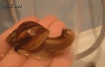 71d043d533db6c49dfa39ca033af4b0b_1471067507_5705.gif 71d043d533db6c49dfa39ca033af4b0b_1471067507_5705.gif