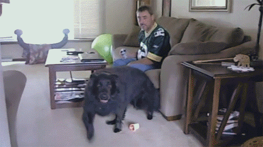 af02aeab5cca0e2b4d879bb29ce03a11_1471095548_3991.gif af02aeab5cca0e2b4d879bb29ce03a11_1471095548_3991.gif