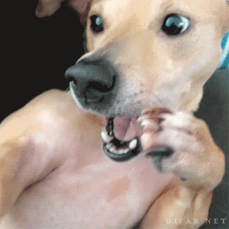b181eb1cfbd10e0a07c2fd4ca17864a2_1472291669_5102.gif