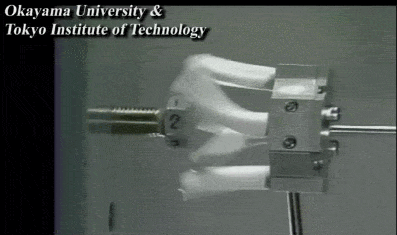 beb1d320e0b768a5da38717ea9e02e88_1472225344_0171.gif
