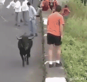 e01564cc421e570592848952814ddbd1_1472270217_5714.gif