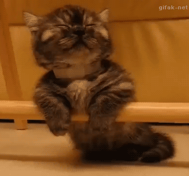 ee01e655dbf4be31f28aa7339c0ac160_1470369899_4728.gif ee01e655dbf4be31f28aa7339c0ac160_1470369899_4728.gif