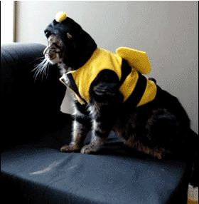 ee01e655dbf4be31f28aa7339c0ac160_1470369899_9394.gif ee01e655dbf4be31f28aa7339c0ac160_1470369899_9394.gif