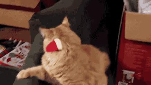 09b8682a0730cf3e0af7bfa430fb4159_1474196567_9963.gif