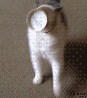 2b2356d0288b1440258407e25c53ebb6_1473761554_0206.gif