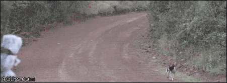 35565d67a811b999025b1dba00b71874_1472905848_3352.gif