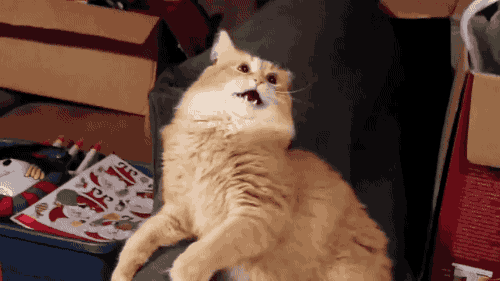 4a6f5dac2b0000d4c65af2ff5123d805_1474196574_8951.gif