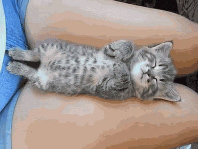 518a336833fb1ac107e73433c3781a2d_1473761762_0651.gif