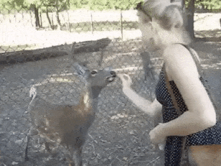 852f927aed770a7eb7243e564ab77797_1473815121_2097.gif