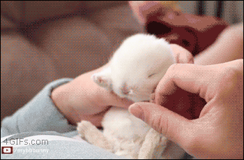 87232069e977b75f85ae8dca26f3953a_1473762094_8825.gif