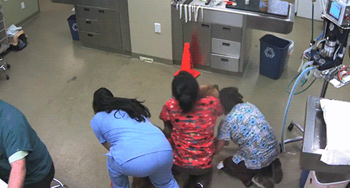 c2c5e60a66dab5786fc0e1cf95244da1_1473749708_7735.gif