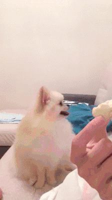 df1a32557e7da2b2f29fca8c457c3a45_1473756031_895.gif